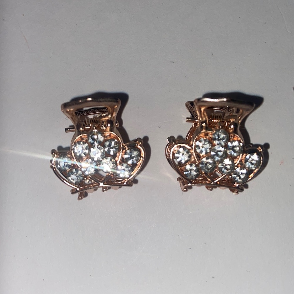 🌷NEW matching pair of mini hair claw clips